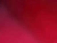 I’m that kind of person who loves to chat and talk about anything. I’m very curious, I talk a lot, and I like to help however I can, because seeing someone happy also makes me happy. I love nature, animals, and everything that brings a light, easy feeling. I like inventing things, laughing, and turning any simple moment into something nice. Anyone who spends a little time with me ends up realizing that I just want to talk and spread a bit of joy.